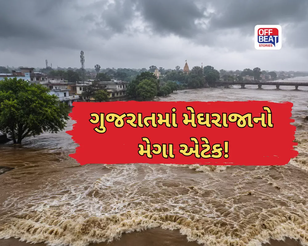 Gujarat Heavy Rain Fall