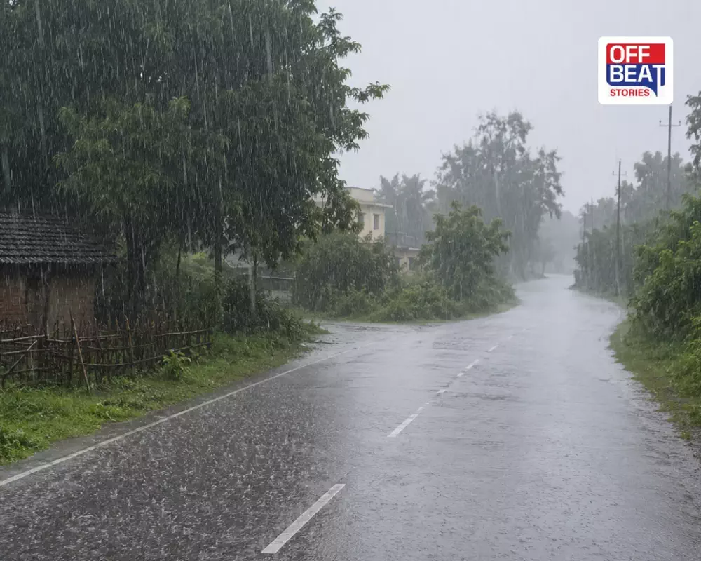 ગુજરાતમાં એક જ દિવસમાં 265 તાલુકામાં મેઘમહેર