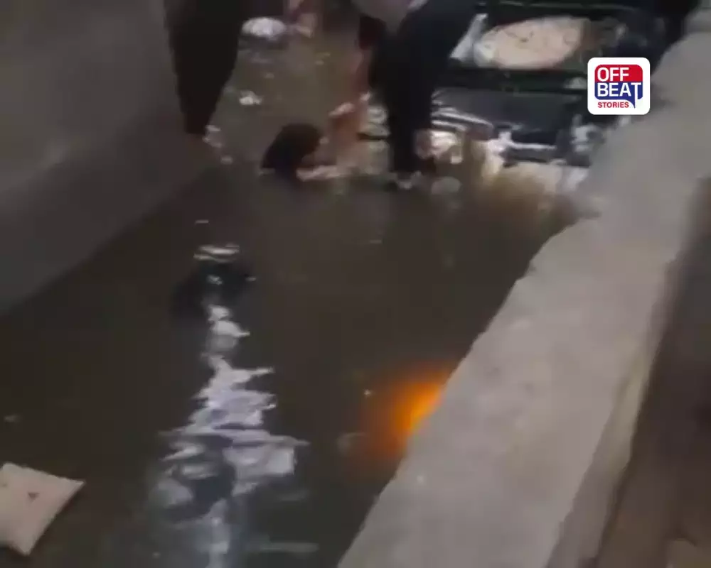 દિલ્હીમાં ભયાનક અકસ્માતનો રેસ્ક્યુ VIDEO વાયરલ