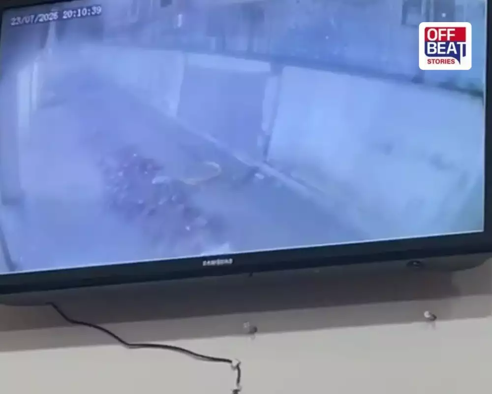 અમદાવાદમાં અચાનક ધરાશાયી થઈ દીવાલ