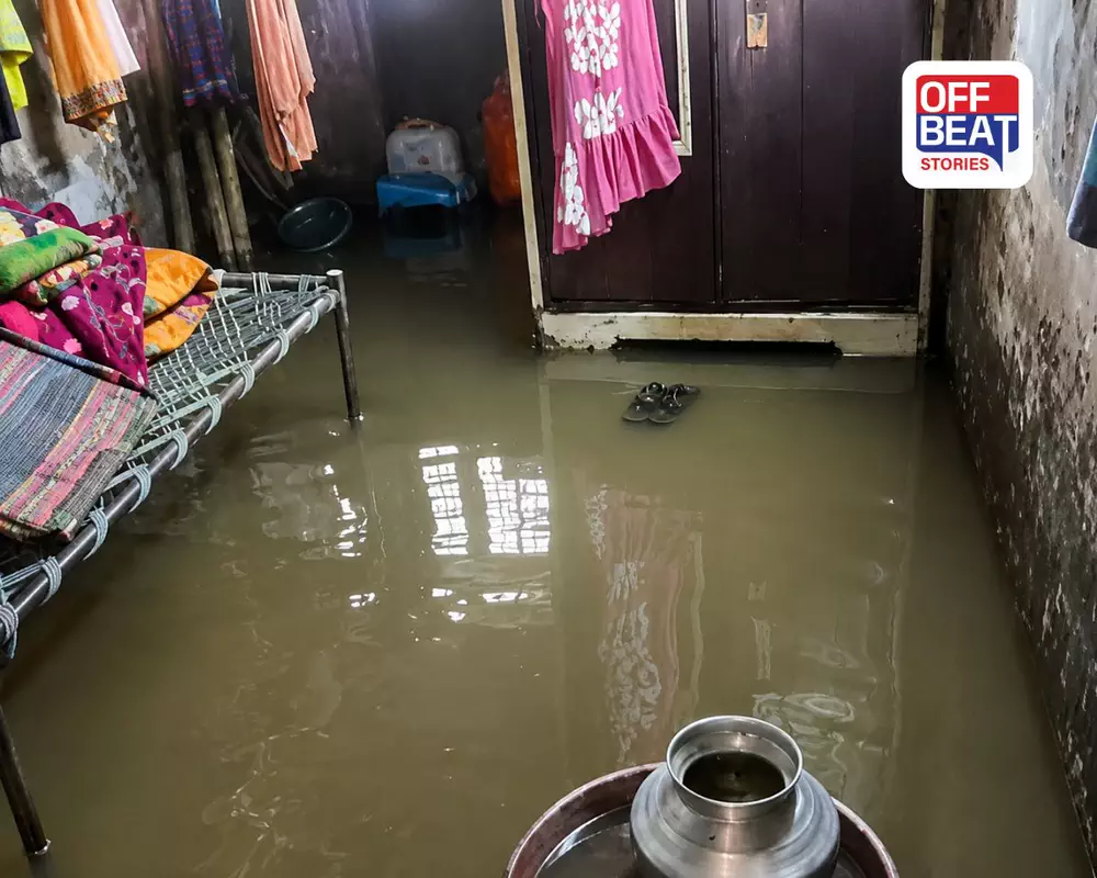 પેટલાદ હાઉસિંગ બોર્ડમાં વરસાદનો કહેર: 80થી વધુ મકાનોમાં ઘૂસ્યા પાણી