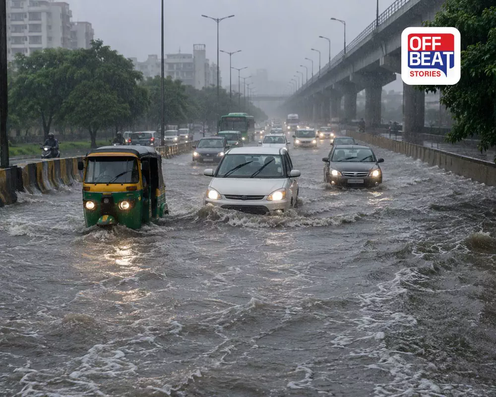 ગુજરાતમાં વરસાદનો વધુ એક રાઉન્ડ શરૂ, એકસાથે 3 વરસાદી સિસ્ટમ સક્રિય