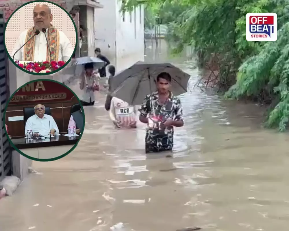 સાણંદ-બાવળામાં જળબંબાકાર