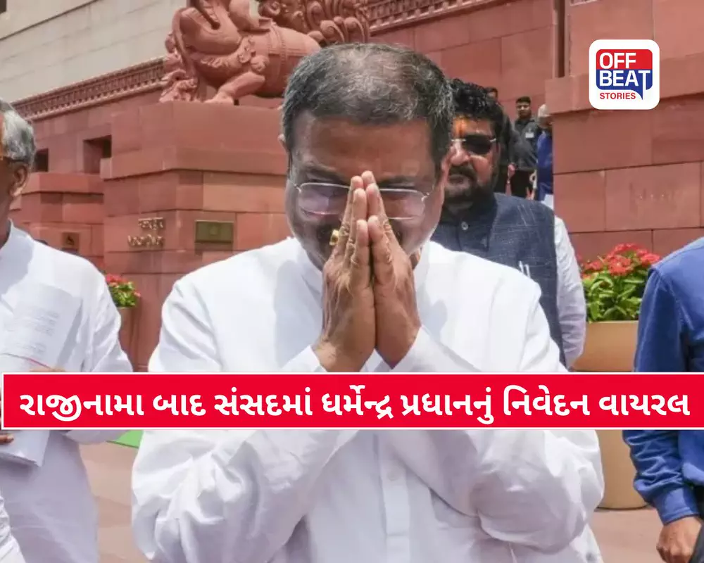 'હું સ્ટ્રીટ ફાઇટર છું, ACમાં બેસવા વાળો એક્ટિવિસ્ટ નહીં...'