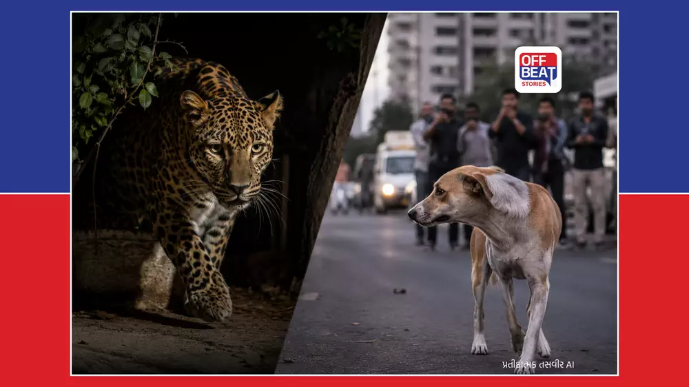 પહેલા બિલાડી અને હવે શ્વાન...
