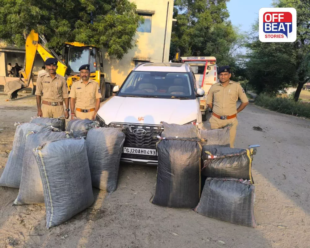 પોલીસને જોઈ કાર મૂકી ભાગ્યો ચાલક, અંદરથી મળ્યું ₹32 લાખનું ડ્રગ્સ!: દાહોદના ગરબડામાં મકાઈના ખેતરમાં ફરાર ચાલકની શોધખોળ, અફીણના પોષ ડોડા જપ્ત