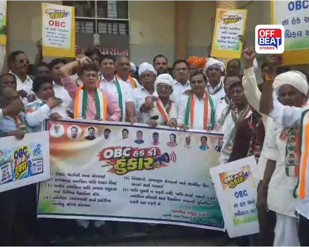 પાટણમાં OBC સમાજની રેલી: જાતિગત વસ્તી ગણતરીના મુદ્દે કલેક્ટરને આવેદનપત્ર