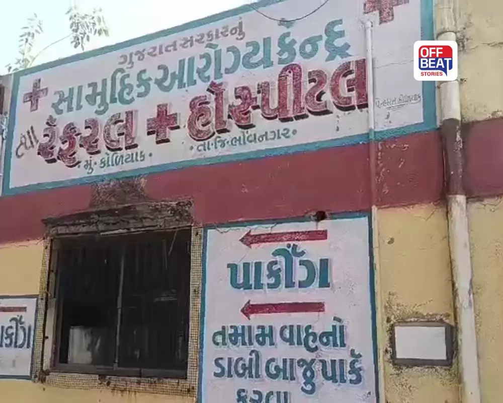 એકાએક વીજળી આવી અને ખેડૂતે જીવ ગુમાવ્યો: ભાવનગરમાં કરુણ દુર્ઘટના, વીજ તંત્ર સામે ગંભીર સવાલો