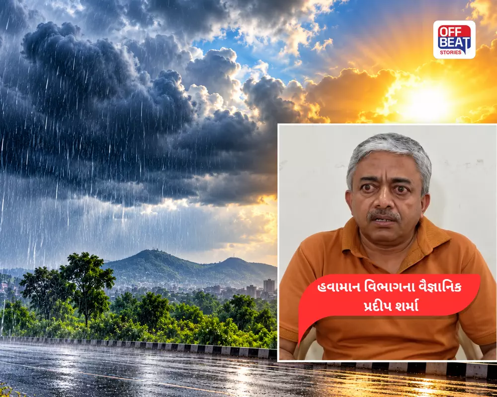 ગુજરાતમાં આગામી 24 કલાકમાં વરસાદની આગાહી: આ 9 વિસ્તારોમાં પડી શકે હળવા ઝાપટાં