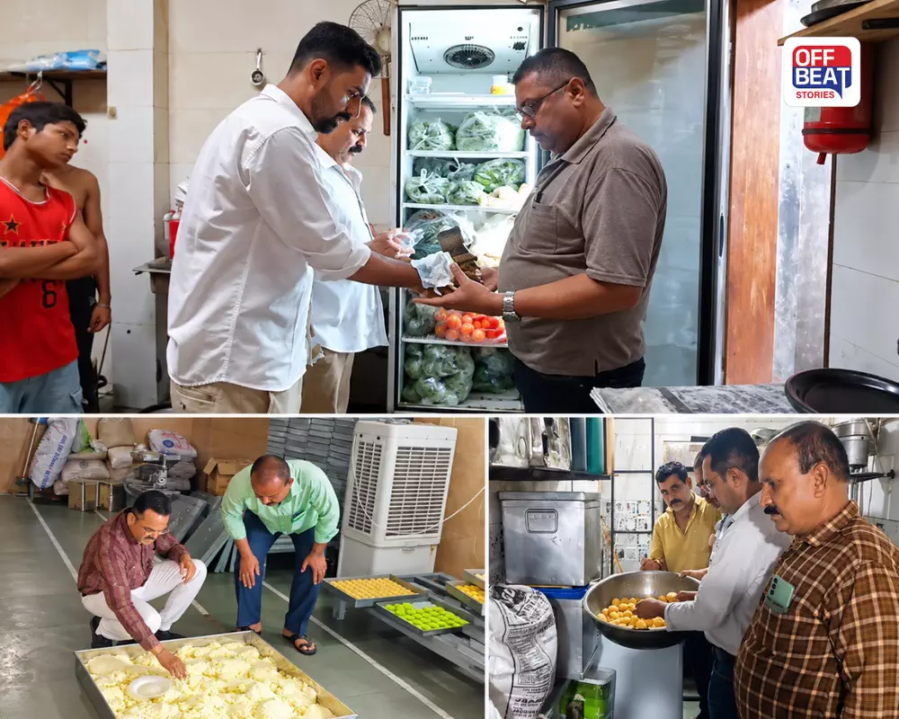 રાજકોટમાં ભેળસેળખોરો સામે મેયરની લાલ આંખ: 4 મહિનામાં 14,520 કિલો અખાદ્ય જથ્થાનો નાશ, 50 પેઢીઓ સીલ