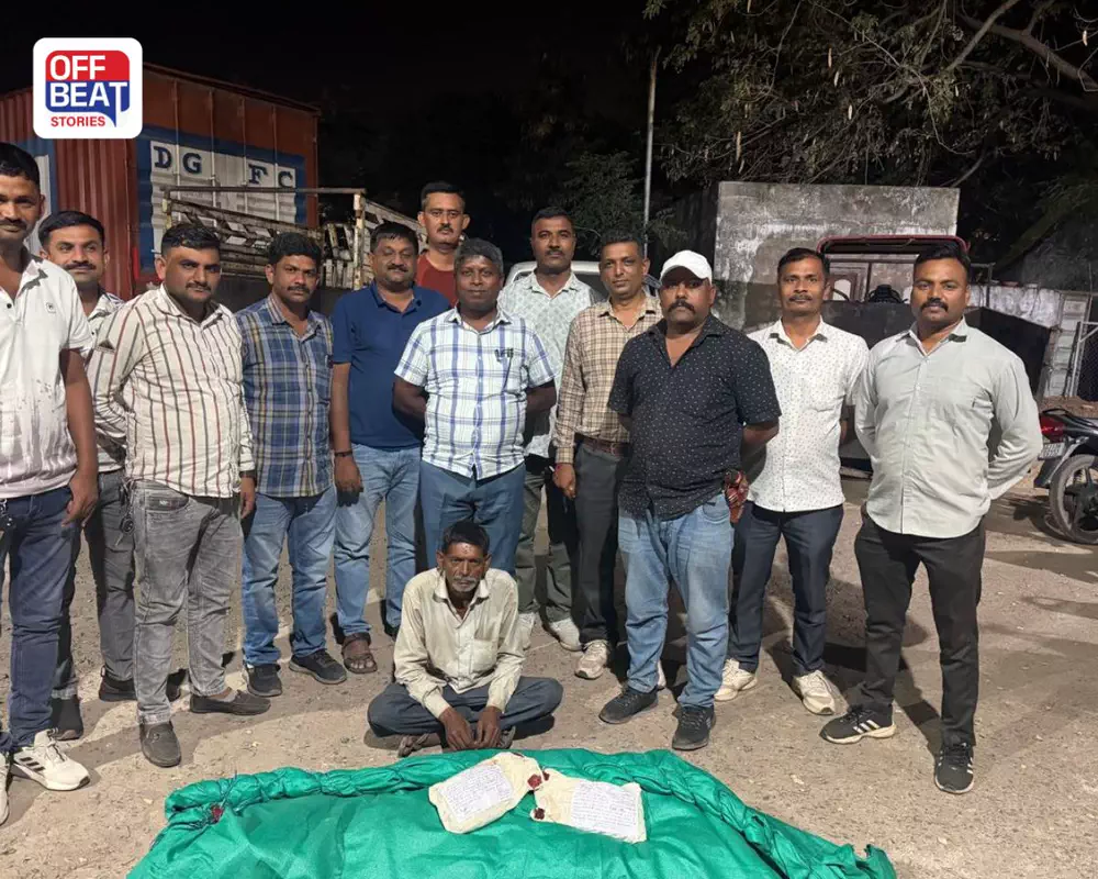 સુરેન્દ્રનગરમાં SOG પોલીસની મોટી કાર્યવાહી: ચોટીલાના વડાળી ગામેથી ₹8.04 લાખનો ગેરકાયદેસર ગાંજો ઝડપાયો, 50 છોડ જપ્ત; એક ઝડપાયો