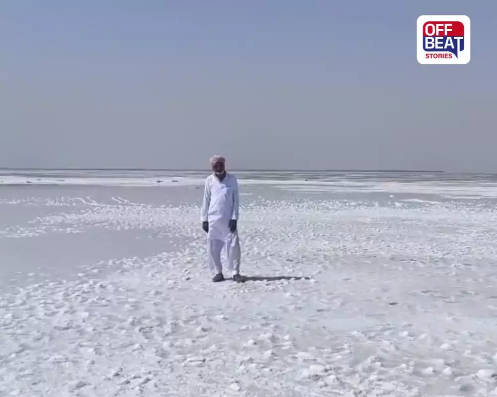 રણોત્સવ પહેલાં જ ધોરડોના શ્વેત રણમાં ખીલી સફેદ ચાદર: આઠ વર્ષ બાદ ઓક્ટોબરમાં જ મનમોહક નજારો