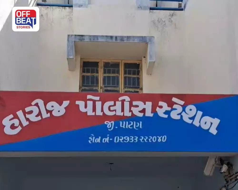 વેબસાઇટ પર લક્ઝરીનું સપનું બતાવી લાખોનો ચૂનો!: અમદાવાદની મહિલા ઇન્ટિરિયર ડિઝાઇનર સામે પાટણમાં ₹64 લાખની ઠગાઈની FIR