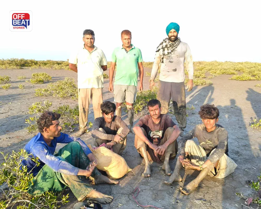 કચ્છના સર ક્રીક વિસ્તારમાં BSFની કાર્યવાહી: બોટ સાથે ચાર પાકિસ્તાની માછીમારો ઝડપાયા, સઘન પૂછપરછ શરૂ