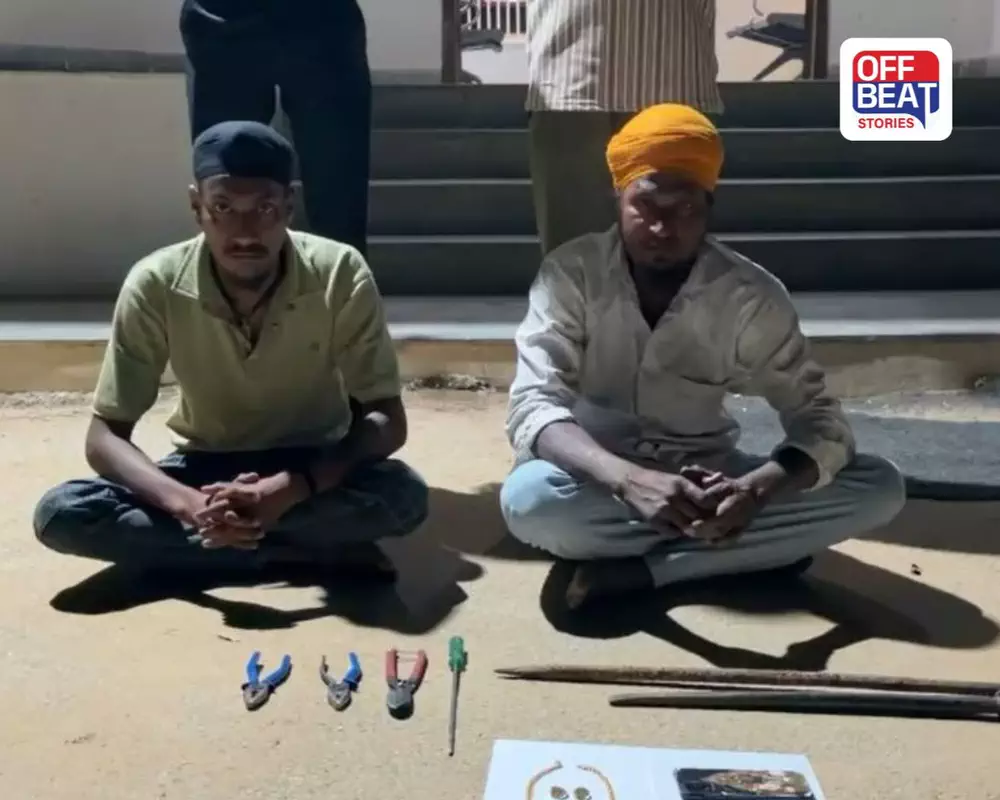 ભૂંડ પકડવાના બહાને રેકી કરી ચોરી કરતી 'ચીકલીગર ગેંગ'નો પર્દાફાશ: બનાસકાંઠા પોલીસે 2 શાતિર ચોરોને દબોચ્યા, 10 ઘરફોડ ચોરીના ભેદ ઉકેલાયા