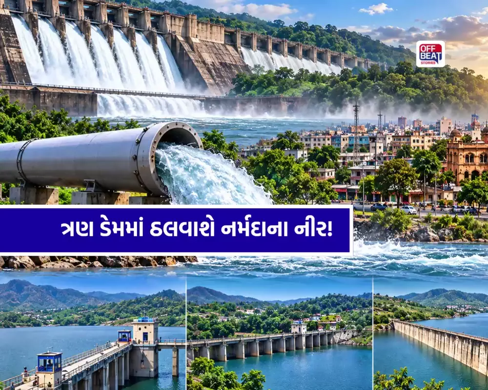 રાજકોટમાં જળસંકટ વચ્ચે રાહતના સમાચાર!: નર્મદાનું પાણી આપવા સરકારની લીલી ઝંડી, ત્રણ ડેમ ભરાશે; આજે જાહેર થઈ શકે સમયપત્રક