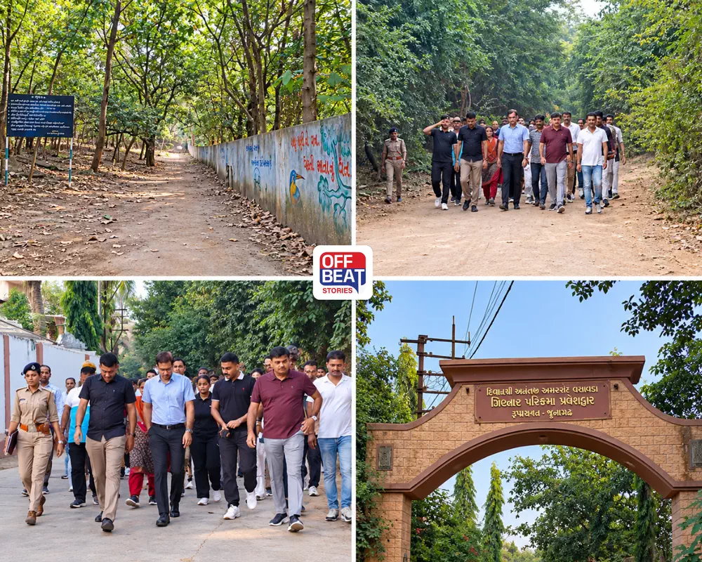 ગત વર્ષે પરિક્રમા હતી બંધ: આ વર્ષે મોટી ભીડની શક્યતા, ગિરનારમાં તંત્રનું આયોજન શરૂ