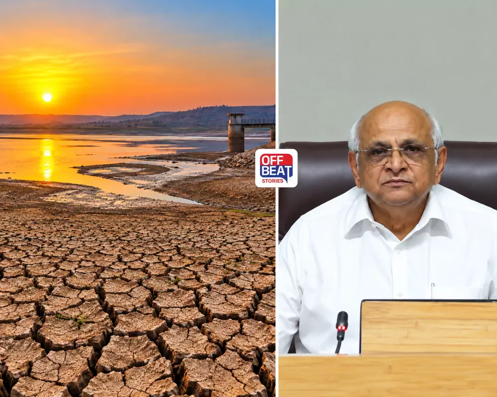 રાજ્યના 4 જિલ્લા દુષ્કાળગ્રસ્ત જાહેર: રાજ્યમાં 89% વરસાદ છતાં ચિંતા કેમ?