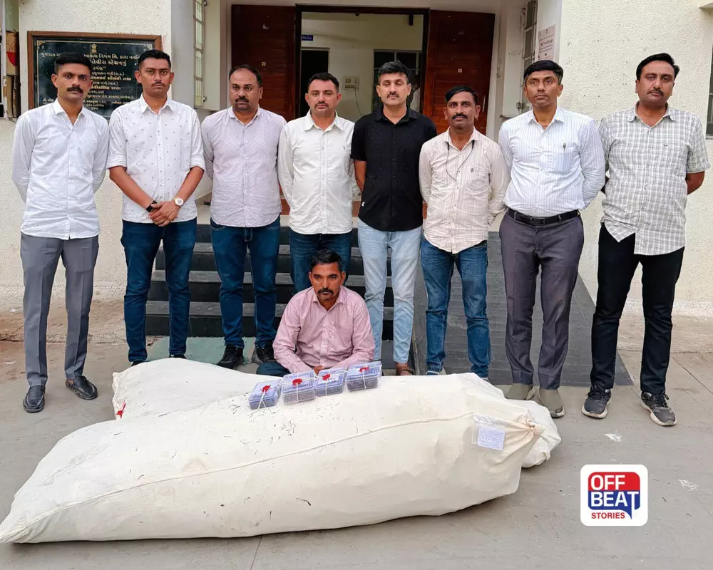 ઘરના વાડામાં ઉગાડ્યા હતા ગાંજાના 128 છોડ!: ભાવનગર SOGનો મોટો ધડાકો: વલભીપુરના પાટણામાંથી ₹30 લાખનો પચાસ કિલોથી વધુ ગાંજો ઝડપાયો