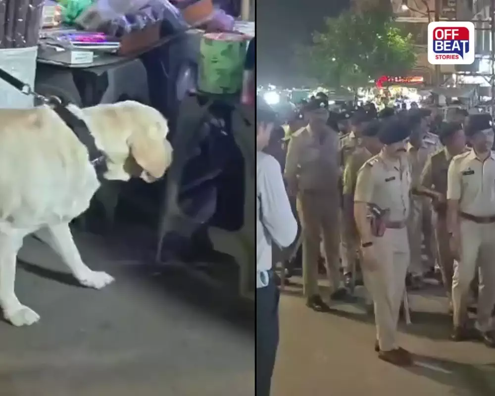 દિવાળીના તહેવાર પહેલાં વડોદરા પોલીસ એલર્ટ: મંગળ બજારમાં ડોગ સ્ક્વોડ અને બોમ્બ સ્ક્વોડ સાથે ચેકિંગ