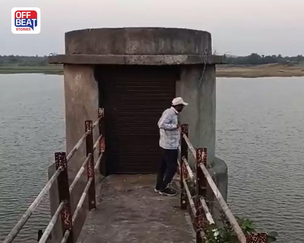 જૂનાગઢના માળિયા હાટીનામાં રોષ: આંબાખોઈ ડેમમાંથી પાણી છોડાતા 3 ગામોમાં પીવાના પાણીની કટોકટી સર્જાવાની ભીતિ, ખેડૂતો અને વન્યજીવો મુશ્કેલીમાં