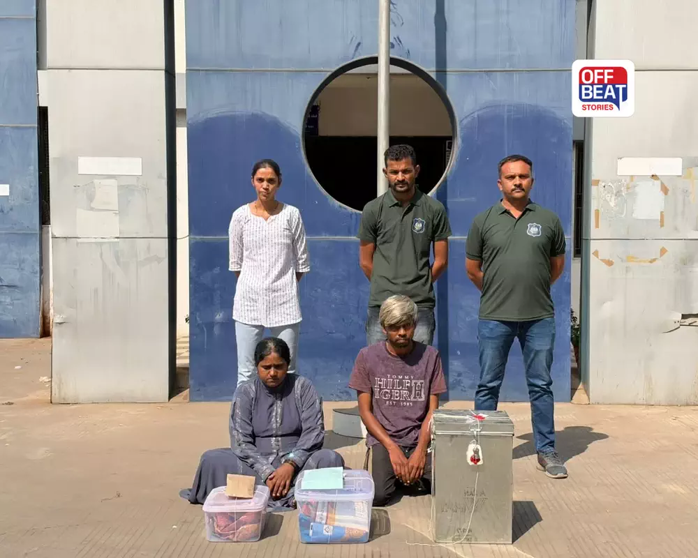 અમદાવાદમાં વટવા પોલીસની મોટી કાર્યવાહી: રૂ. 4.96 લાખના ગાંજા સાથે યુવતી સહિત બે ઝડપાયાં
