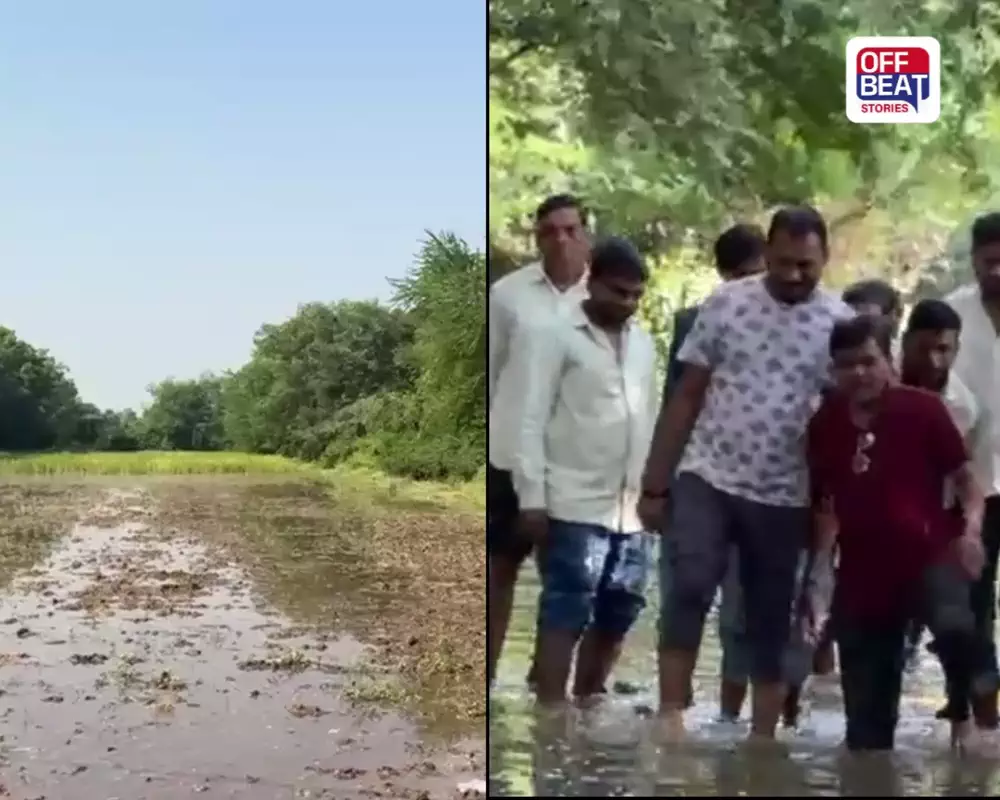 વડોદરાના સાવલીમાં માઇનોર કેનાલમાં ગાબડું પડતાં ખેતરો પાણીમાં ગરકાવ: પાકને નુકસાનની ભીતિની વચ્ચે ખેડૂતોમાં રોષ