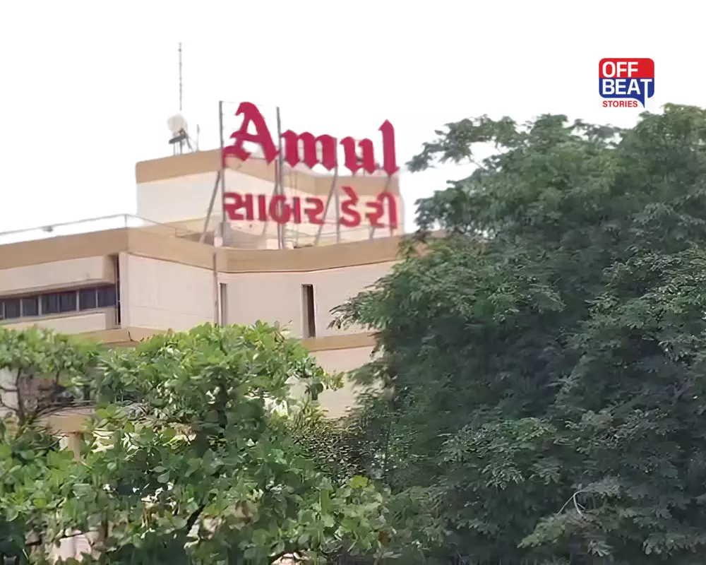 સાબર ડેરીના ચેરમેન-વાઇસ ચેરમેનની ચૂંટણી 6 નવેમ્બરે: સહકારી રાજકારણમાં ગરમાવો