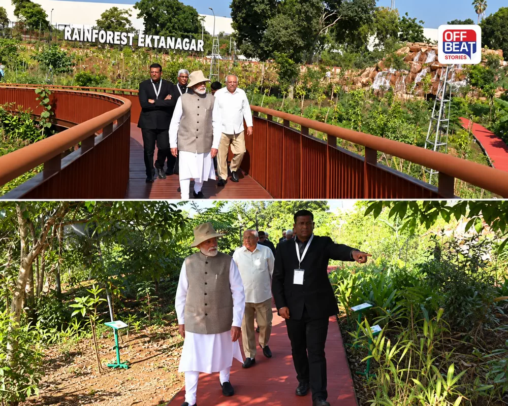 એકતાનગરમાં PM મોદીની ખાસ મુલાકાત: રેન ફોરેસ્ટ અને વામન વૃક્ષ વાટિકા નિહાળી, જાણો કૃત્રિમ વરસાદથી બોન્સાઈ વૃક્ષો સુધી તેમને શું જોયું